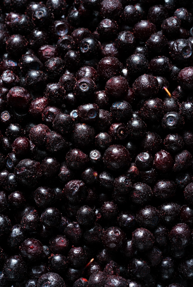 Wild Blueberries (from Italy)