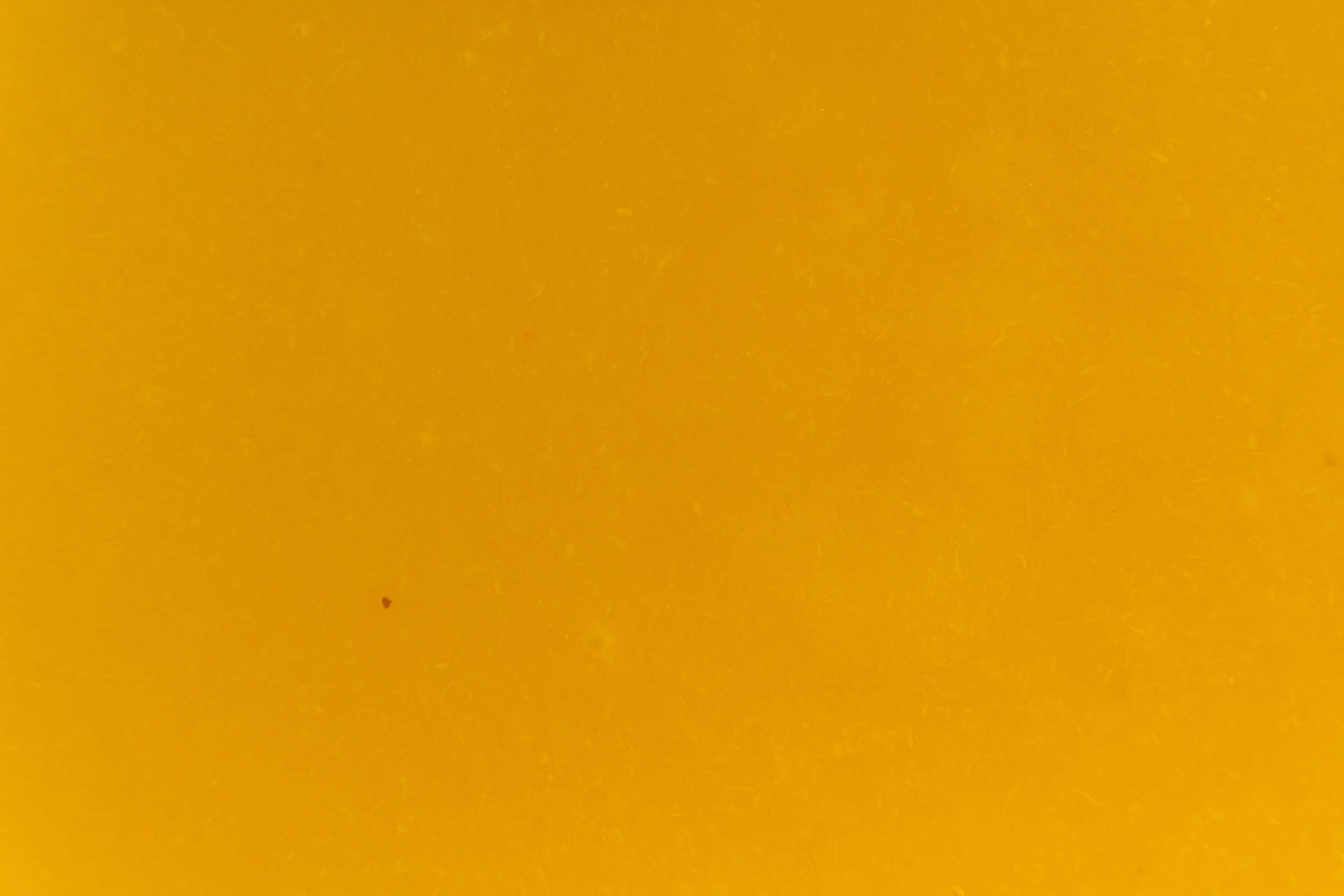 Victoria Pineapple 100% Frozen Puree